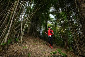 BIB: 
                            <button type="button" onclick="openModal(19396039)" class="btn btn-primary btn-sm float-right btn-popup" data-toggle="modal" data-target=".modal-high-quality">
                        <i class="fas fa-shopping-cart"></i> Add to Cart
                    </button>
                                            <button type="button" onclick="isThisMe(19396039, true)" class="btn btn-success btn-sm float-right btn-popup btn-isme hidden" data-toggle="tooltip" data-placement="bottom" title="นี่คือรูปของคุณใช่ไหม คลิกที่นี่เพื่อเอาเข้าอัลบั้ม">
                        <i class="fas fa-plus"></i> Add to album
                    </button>
                    <button type="button" onclick="isThisMe(19396039, false)" class="btn btn-warning btn-sm float-right btn-popup btn-isnotme hidden">
                        <i class="fas fa-ban"></i> Remove from album
                    </button>